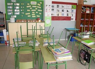 CNT-AIT contra el cese de los llamamientos de docentes interinas