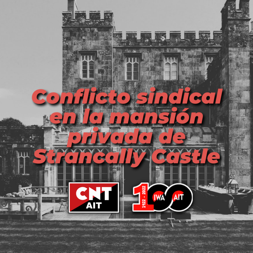 Copia-de-Copia-de-Plantilla-1x1-Instagram2